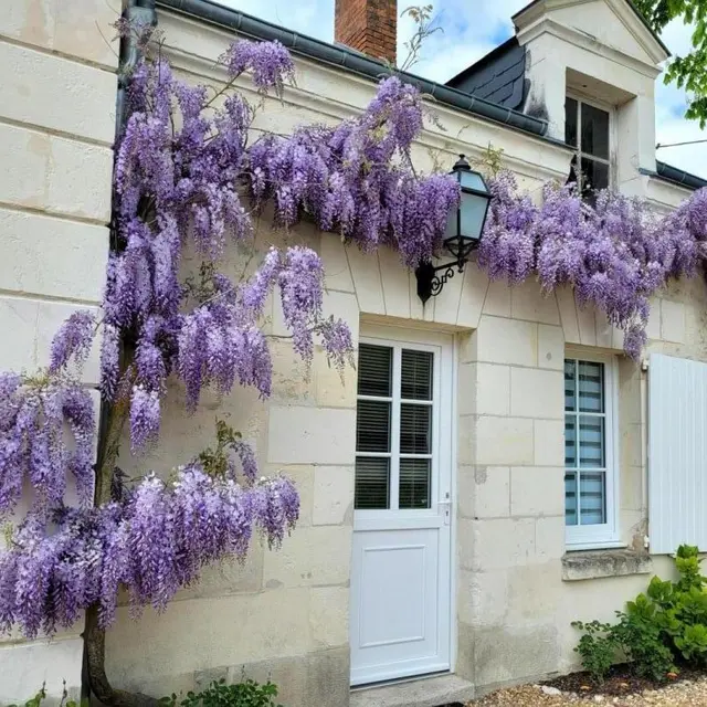 Gîte les Tomettes_1