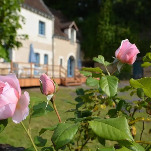 Gîte de la Fontaine_1