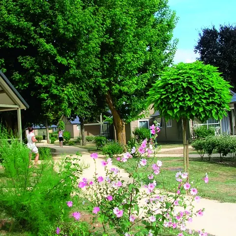 Village Vacances Les Fontenils - Chinon