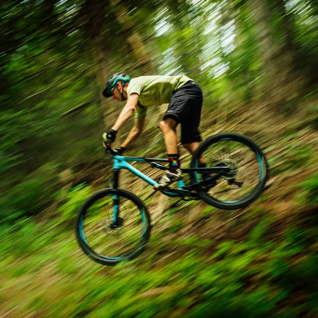 tim-foster-CoSJhdxIiik-unsplash