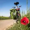 to-go-biking-5178398_1280-gi3sbx2m0twk.jpg.150x150_q85