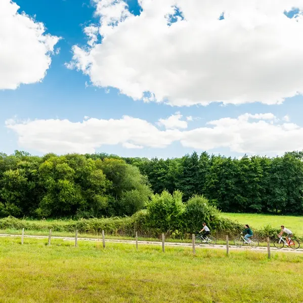 Balade à vélo en Touraine
