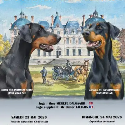 Exposition beauté nationale Dobermann France