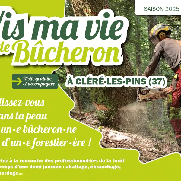 vis ma vie de bucheron à Cléré-les-Pins