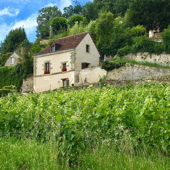vue_Gite_Vignes_Blanches
