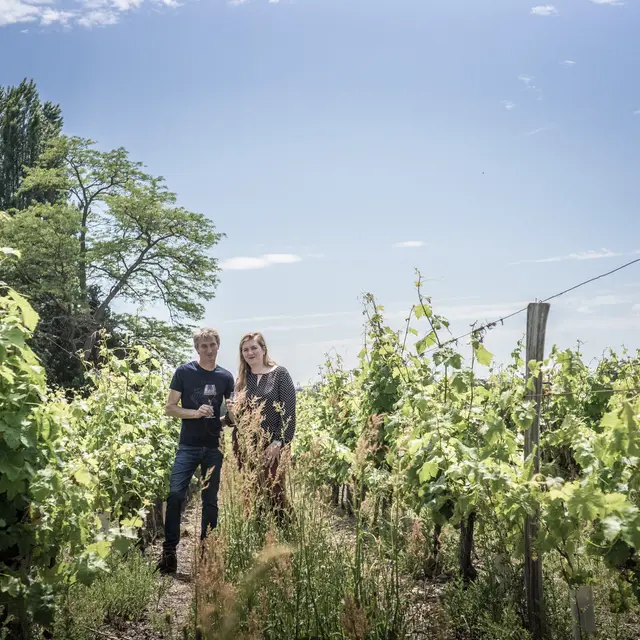 Domaine du Fondis