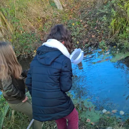 wp-20161128-09-24-59-pro