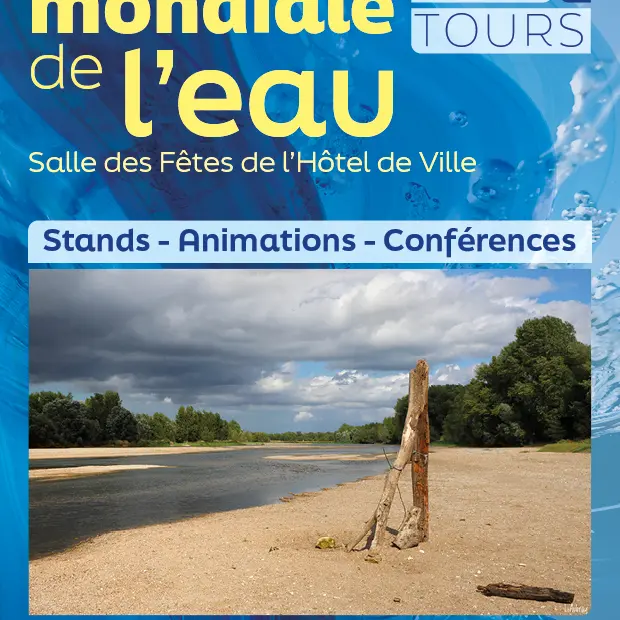 Journée mondiale de l'eau