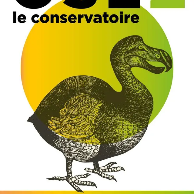 ACVL - CHINON-Affiche Osez le conservatoire