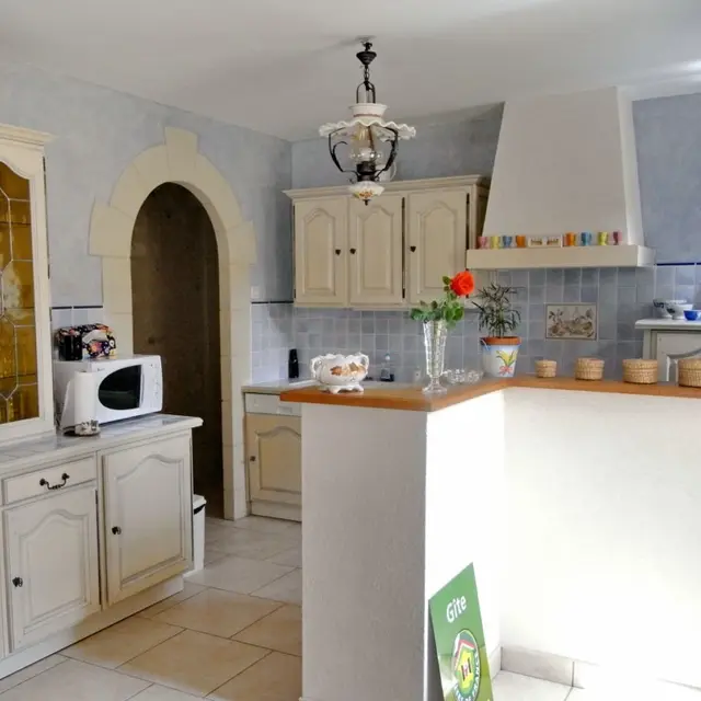 ACVL - Pouzay - Grenier à sel - Rabusseau fleur - 31012036 (8)