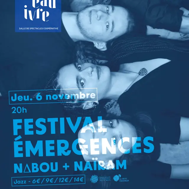 AFFICHES-NOV255