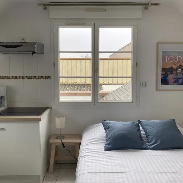 Agapanthes---Oeillets_Crédits-Jacques-Gille_Fin-15022030-(1)