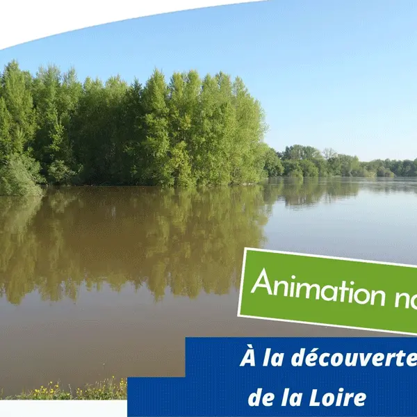 Animation à la découverte de la Loire