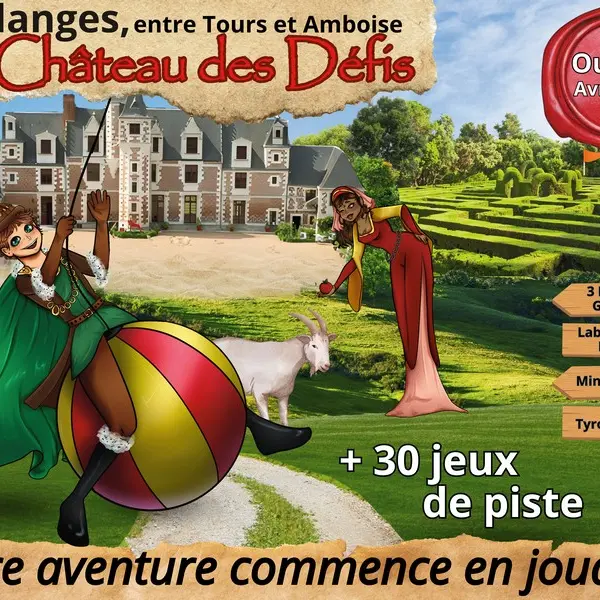 Affiche Le Château des défis Jallanges