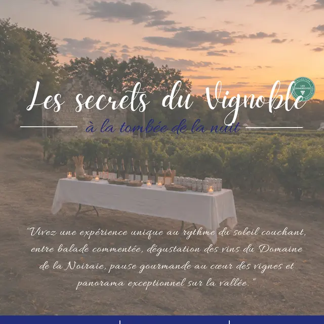 Les Secrets du vignoble à la tombée de la nuit - Vignobles en Snène