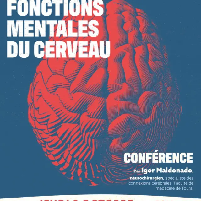 AfficheA3_CONF_CERVEAU