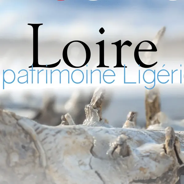 expo Loire et patrimoine ligérien