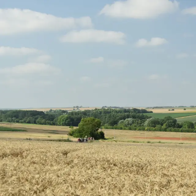 Anché - Estivales de Rando - Paysage 11 - CC OTACVL - 2031
