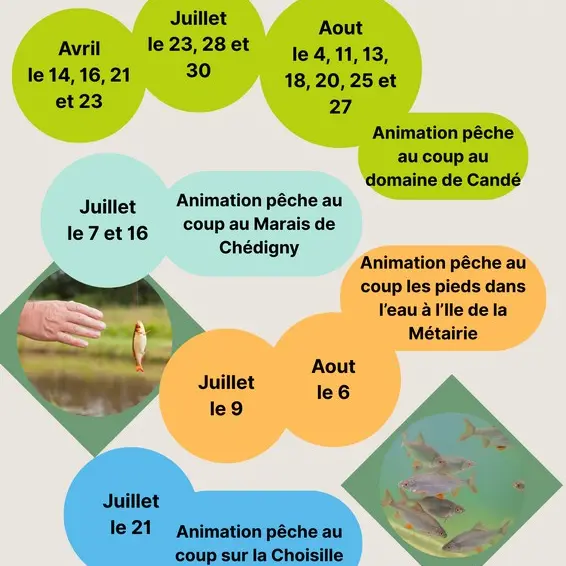Animations ENS 2026