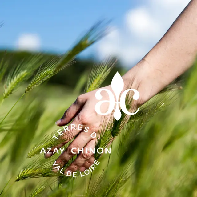 Affiche nature