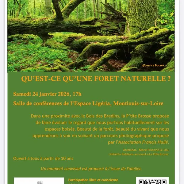 Atelier La Petit' Brosse Montlouis