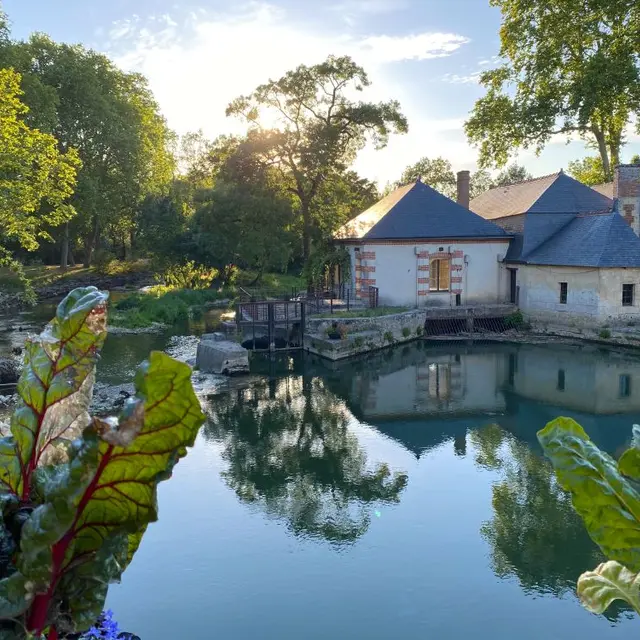Azay-le-Rideau - Moulin d'Azay-le-Rideau soir - ©Armonie Berthelot (1)
