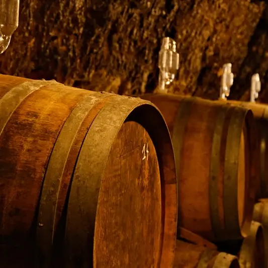 Barriques cave du Vignoble Alain Robert