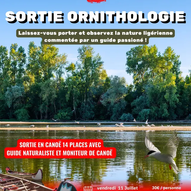 Balade crépusculaire ornithologique Tours et Canoë