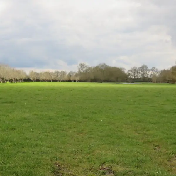 Bocage © JULIEN PRESENT (2)