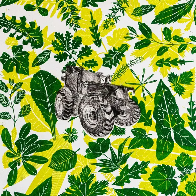 Bocage (visuel motif)