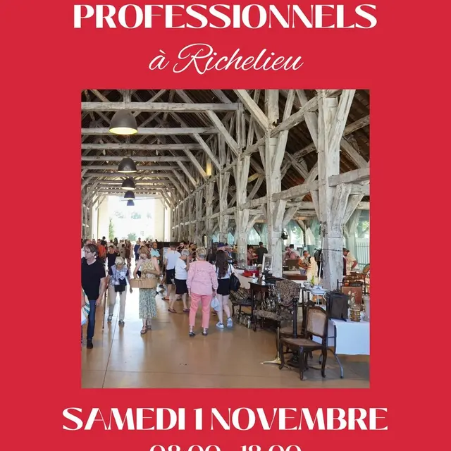 Brocante Richelieu 1er novembre 2025