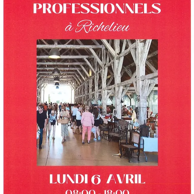 Brocante de Pâques Richelieu 6 avril 2026