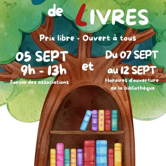 Brocante de livres à Vernou-sur-Brenne