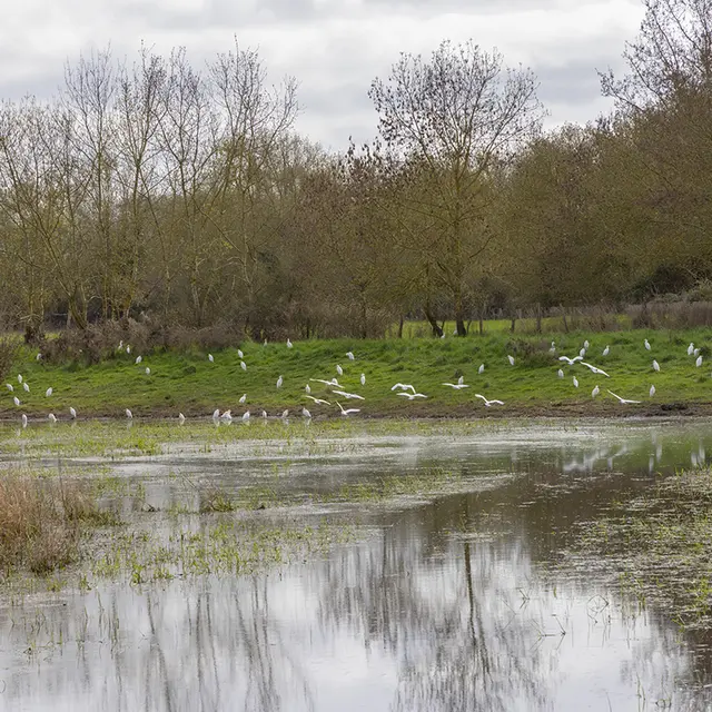 CC-CVL_Tourisme_Sites-naturels_Cunette2©CC-CVL-02-24-FabB-3S8A8290