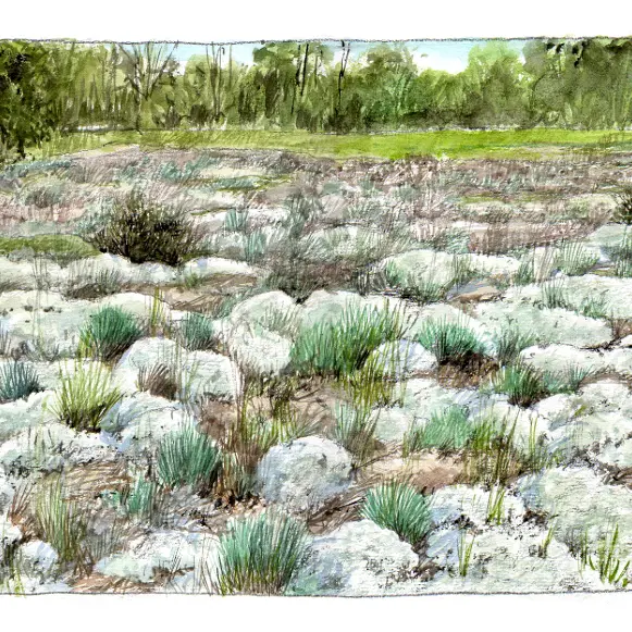 CC-CVL_Tourisme_Sites-naturels_Bertignolles_Paysage-Pelouse©BenoitPerrotin