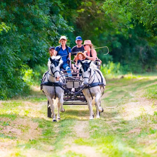 Calèche en Rabelaisie