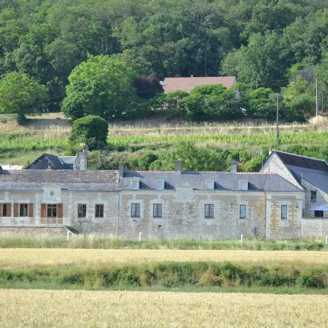 CRAVANT LES COTEAUX-GÏTE DOMAINE DE NUEIL (13)