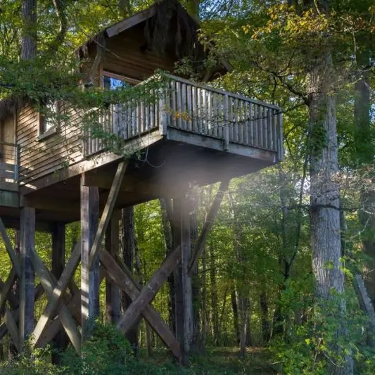 Cabane dans les bois - Château de Razay 1