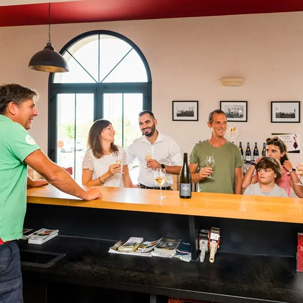 Domaine Plou et Fils - Dégustation - Chargé