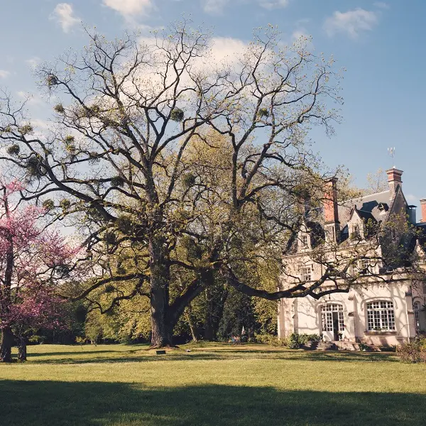 Château de Razay - Céré-la-Ronde