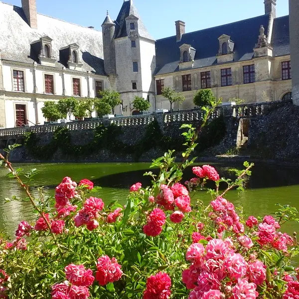 Château de la Motte-Sonzay (6)