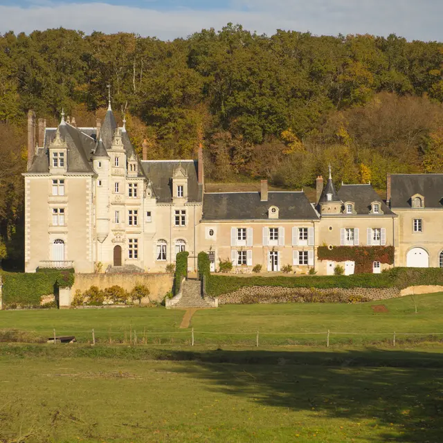 Château de la Roche d'Alès