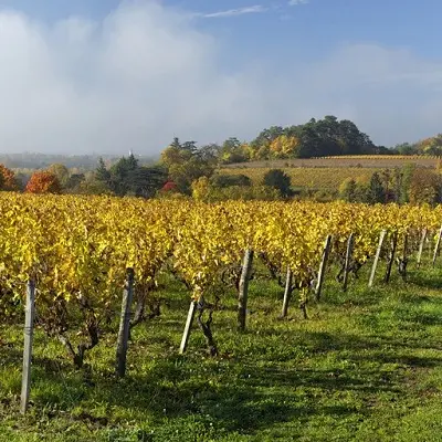 Chateau Gaudrelle - Rochecorbon, AOC vouvray