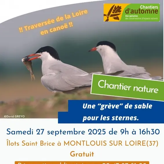 Chantier nature à Montlouis