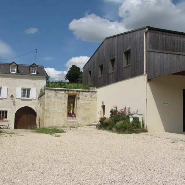Chinon- Domaine des Beguinnerie