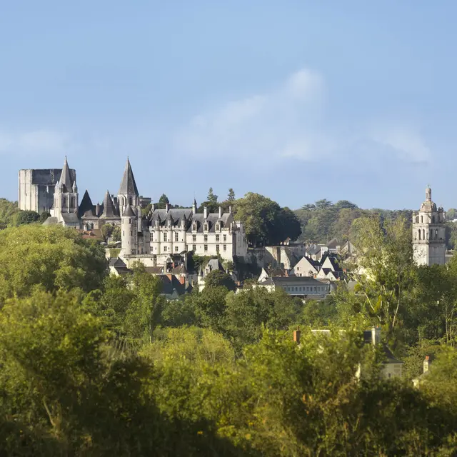 Cité_royale_Loches_Stevens_Fremont