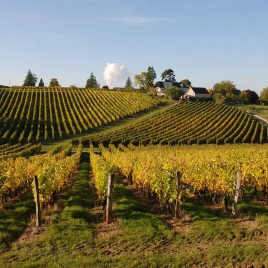 DOMAINE DE LA NOBLAIE