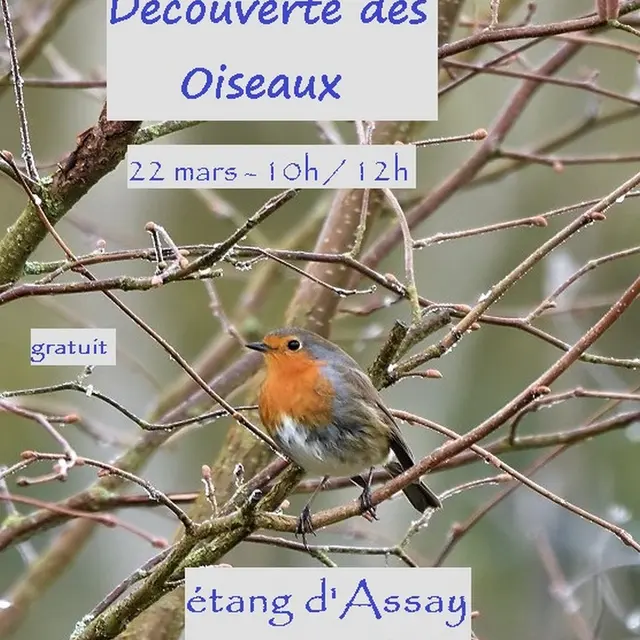 Découverte des oiseaux Assay 22 mars 2026