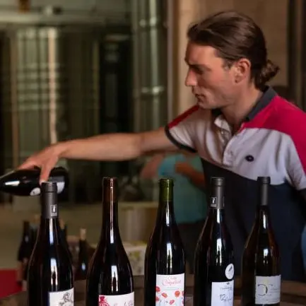 Degustation_vins_Saint_Nicolas_de_BOurgueil