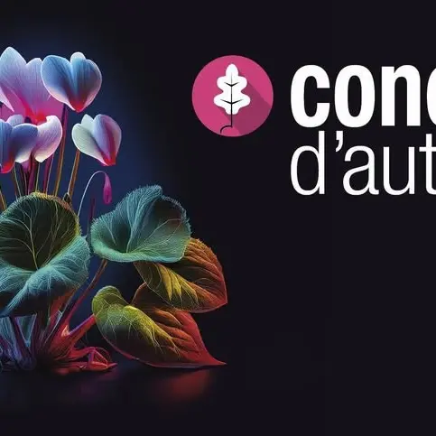 Design sans titre - 1